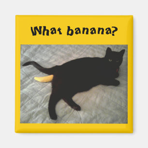 Imã Brinquedo faltante do gato da banana