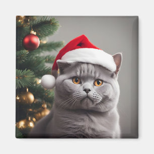 Imã British Shorthair Christmas
