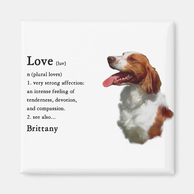 Imã Brittany Spaniel Gifts (Frente)