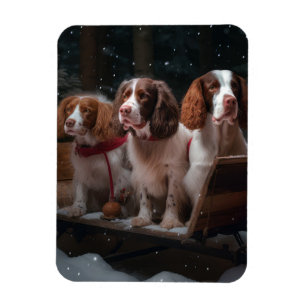 Ímã Brittany Spaniel Neve Trenó Natal Decoração