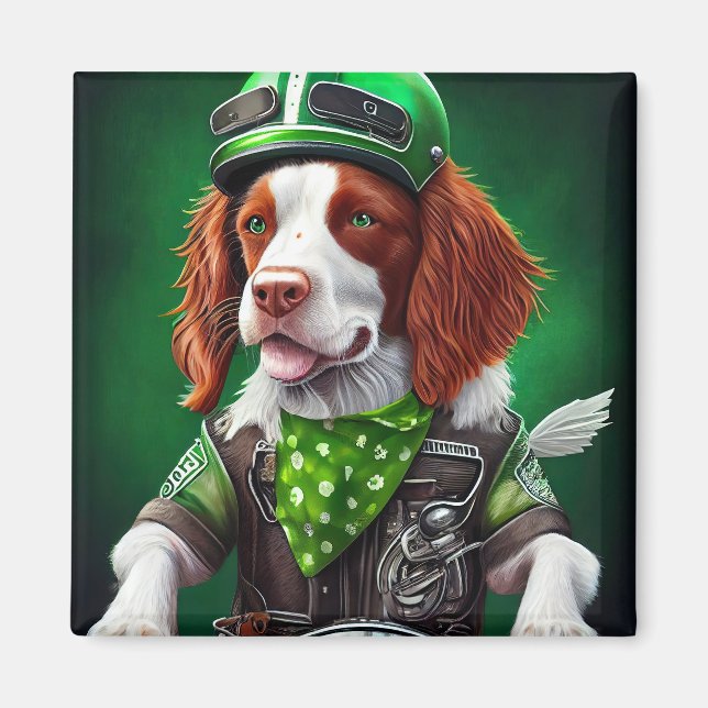 Imã Brittany Spaniel pilotando bicicleta no Dia de São (Frente)