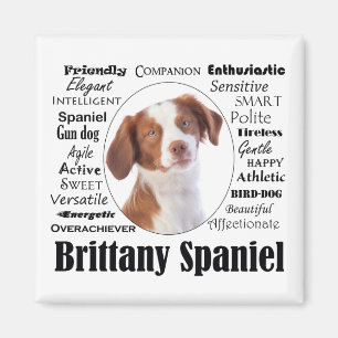Imã Brittany Spaniel Traits