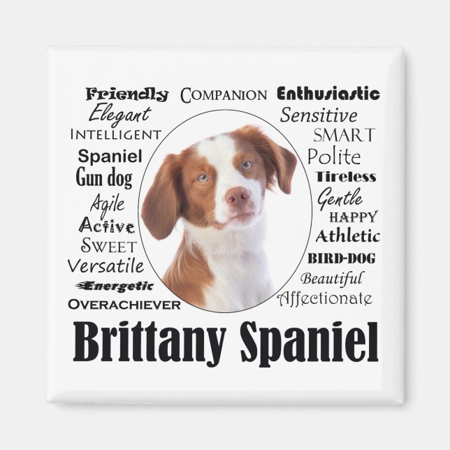 Imã Brittany Spaniel Traits (Frente)