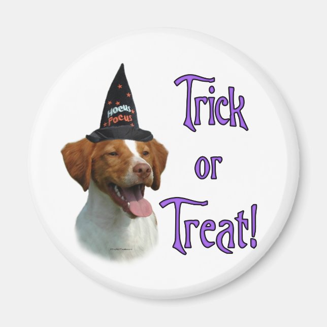 Imã Brittany Spaniel Trick (Frente)