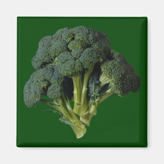 Imã Broccoli (Frente)