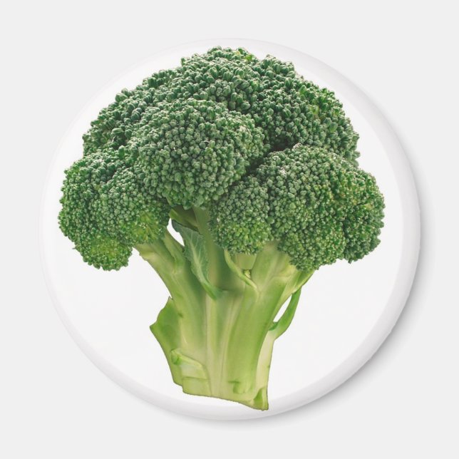 Imã Broccoli (Frente)