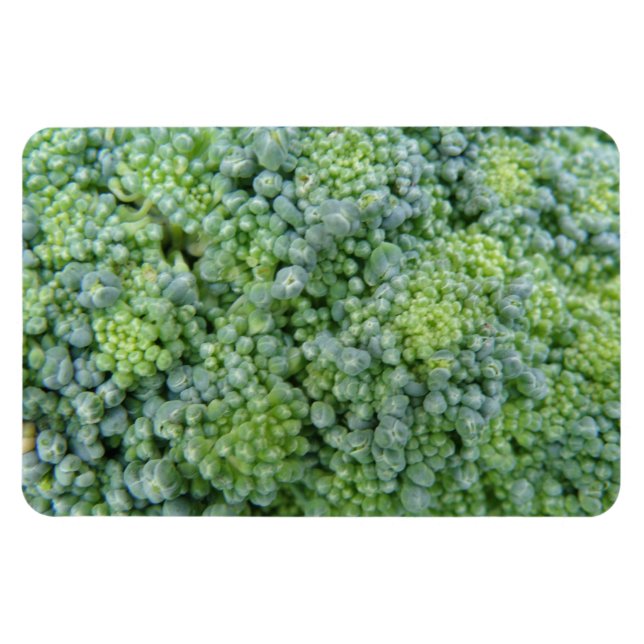 Ímã Broccoli Macro Premium (Horizontal)