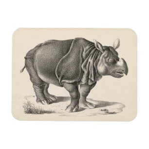Ímã Brodtmann Rhinocerontes