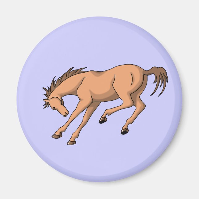 Imã Bronco (Frente)