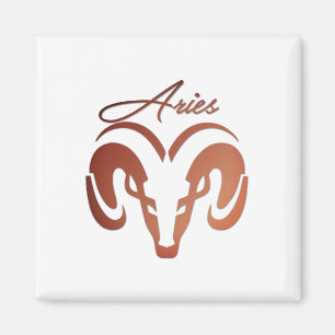 Imã Bronze toca Ram Zodiac