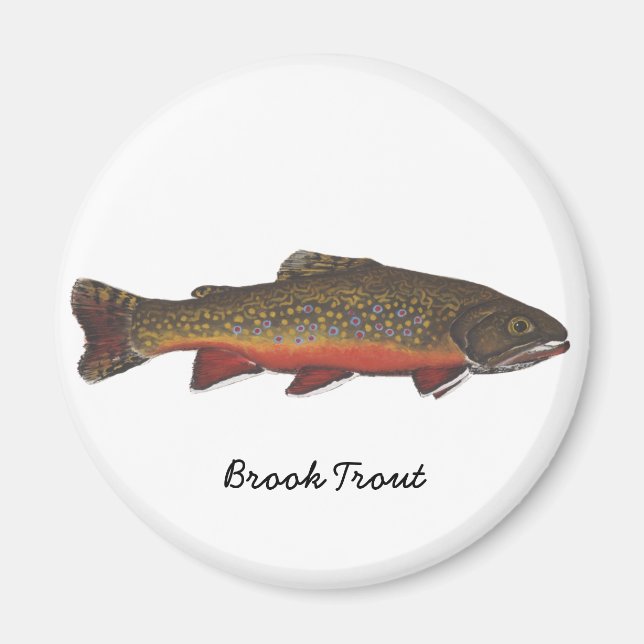 Imã Brook Trout (Frente)