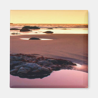 Imã Brookings Harbour Sunset Fine Photo