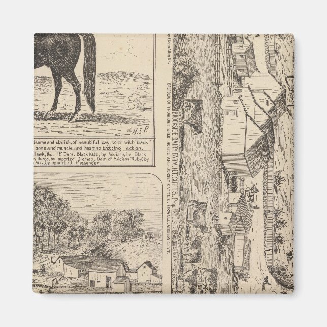 Imã Brookside Dairy Fazenda (Frente)