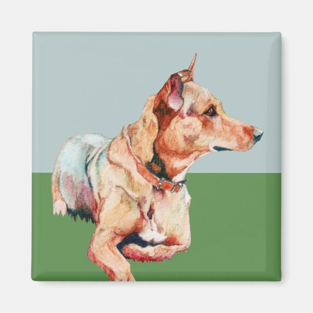 Imã Brown Bertha Magnet (Frente)