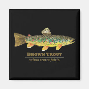 Imã Brown Trout Ichthyology Latino
