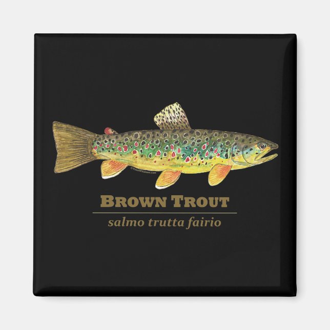 Imã Brown Trout Ichthyology Latino (Frente)