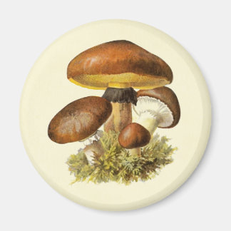 Imã Brown Vintage Mushroom