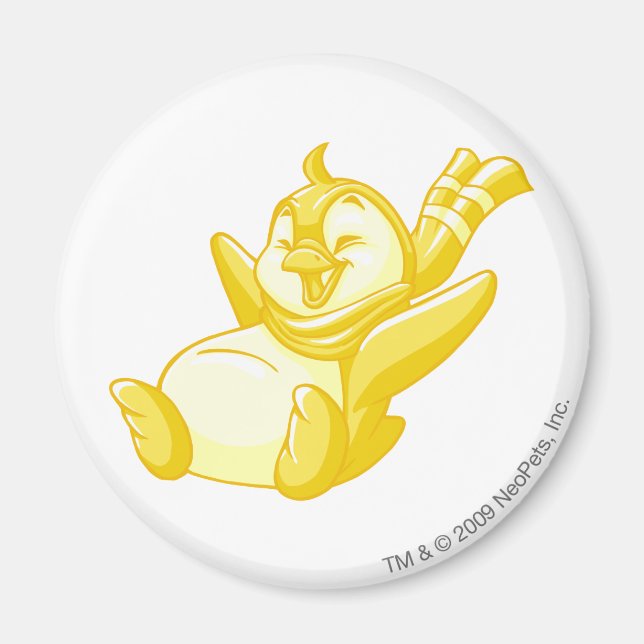 Imã Bruce Dourado (Frente)