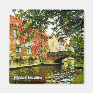 IMÃ BRUGES, BÉLGICA
