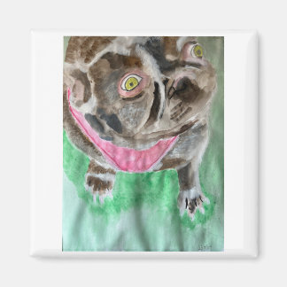 Imã Bruno, o íman do buldogue