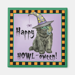 Imã Bruxa de Newfie