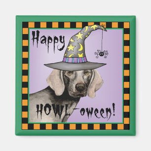 Imã Bruxa de Weimaraner