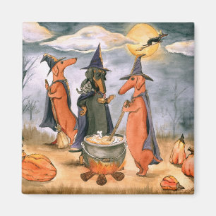 Imã Bruxas do Dachshund