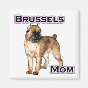 Imã Bruxelas Griffon Mãe; Mãe de Bruxelas Griffon