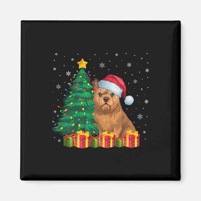 Imã Bruxelas Griffon Santa Hat Luzes de Natal D (Frente)