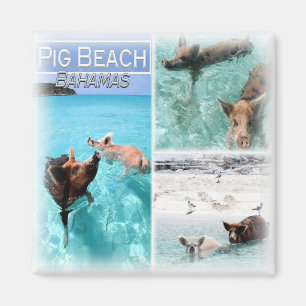 Imã BS0018 America, Bahamas, Fridge