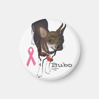 Imã Bubo, o chihuahua