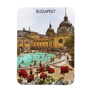 Ímã Budapest Hungary Széchenyi Thermal Baths