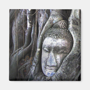 Imã Buddha e a fotografia de Tailândia do budismo da
