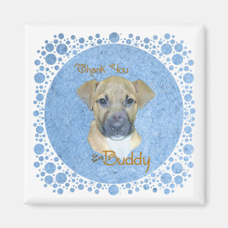 Imã Buddy Blue