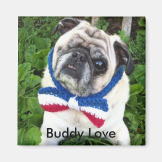 Imã Buddy Love