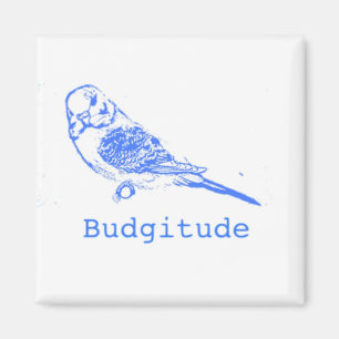 Imã Budgitude