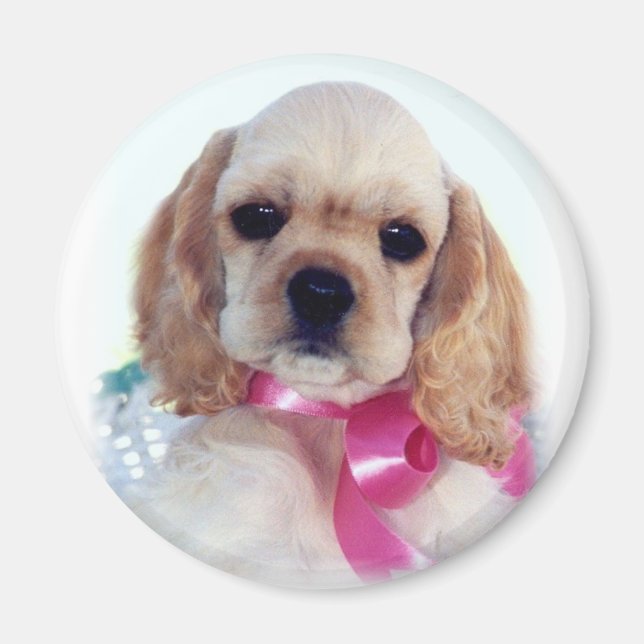 Imã Buff Cocker puppy magnet (Frente)