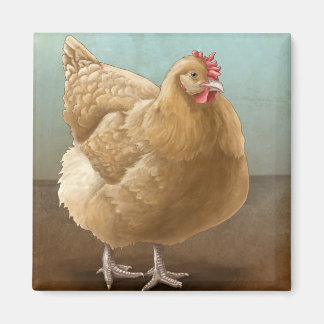 Imã Buff Orpington Magnets