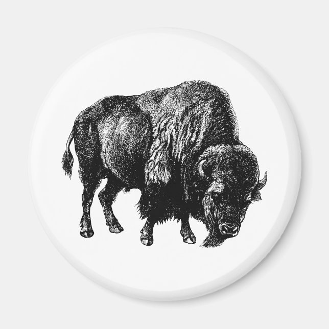 Imã Buffalo American Bison Magnet (Frente)