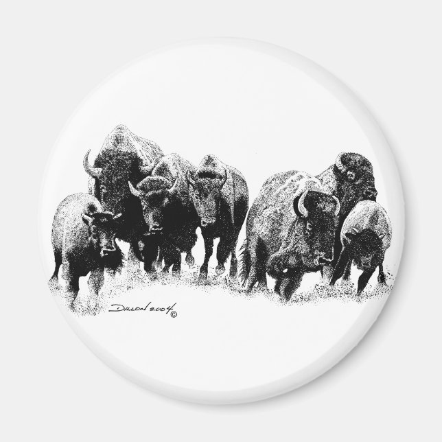 Imã Buffalo Herd (Frente)