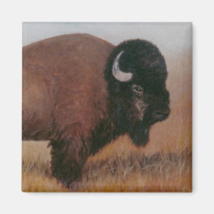 Imã Buffalo Magnet