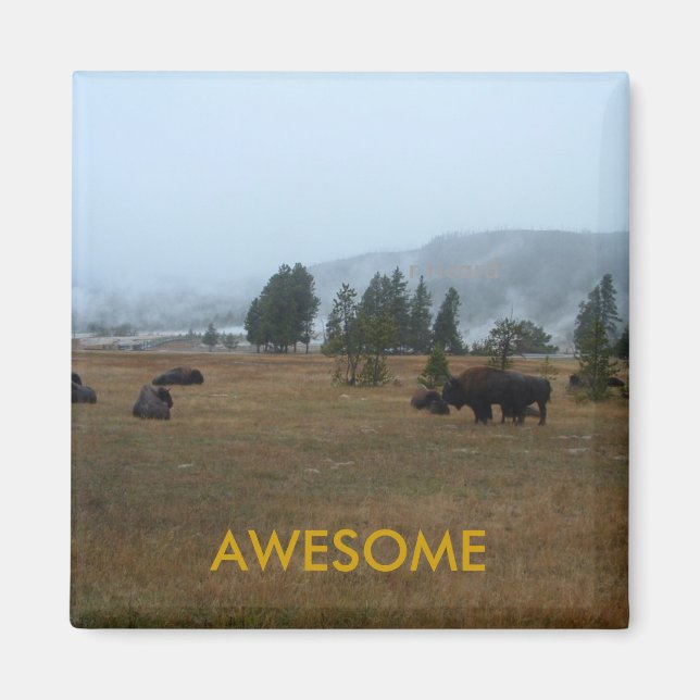 Imã Buffalo - Magnet Incrível (Frente)