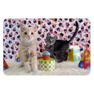 Ímã Buffington e Patton's Birthday Cat / Kitten