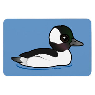 Ímã Bufflehead