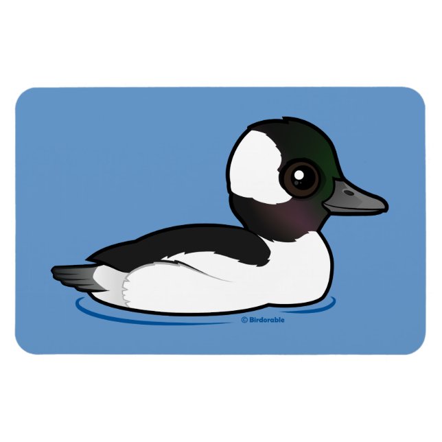 Ímã Bufflehead (Horizontal)
