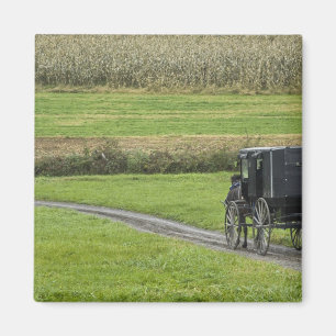 Imã Bugue amish em estrada rural, Nordeste de Ohio,
