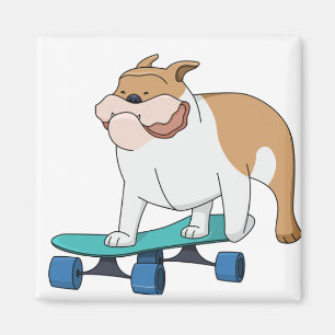 Imã buldogue