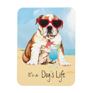 Ímã Buldogue do verão