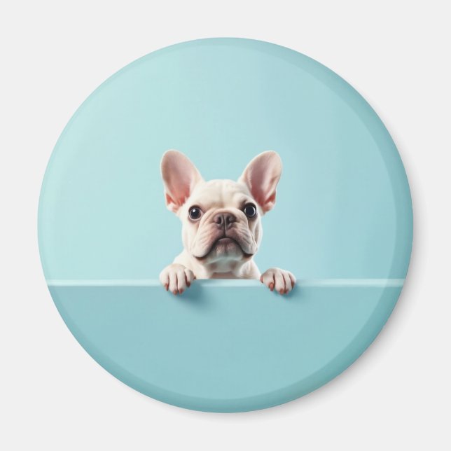 Imã Buldogue Francês (Frente)