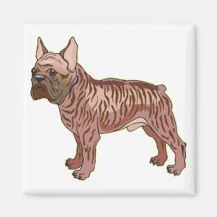 Imã Buldogue francês